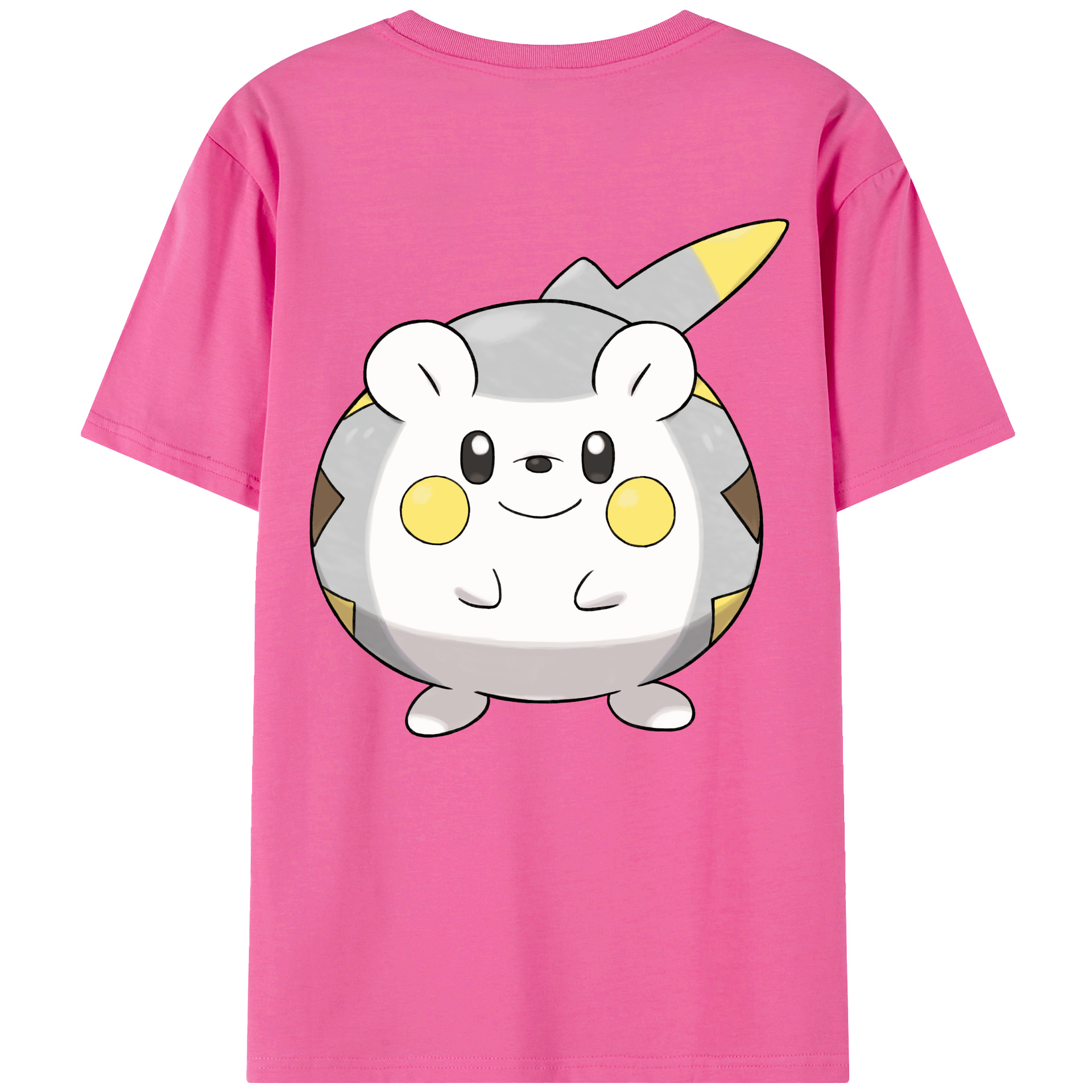 （画像用） ポケットモンスター Pokémon レディース半袖Tシャツ(バックプリント)